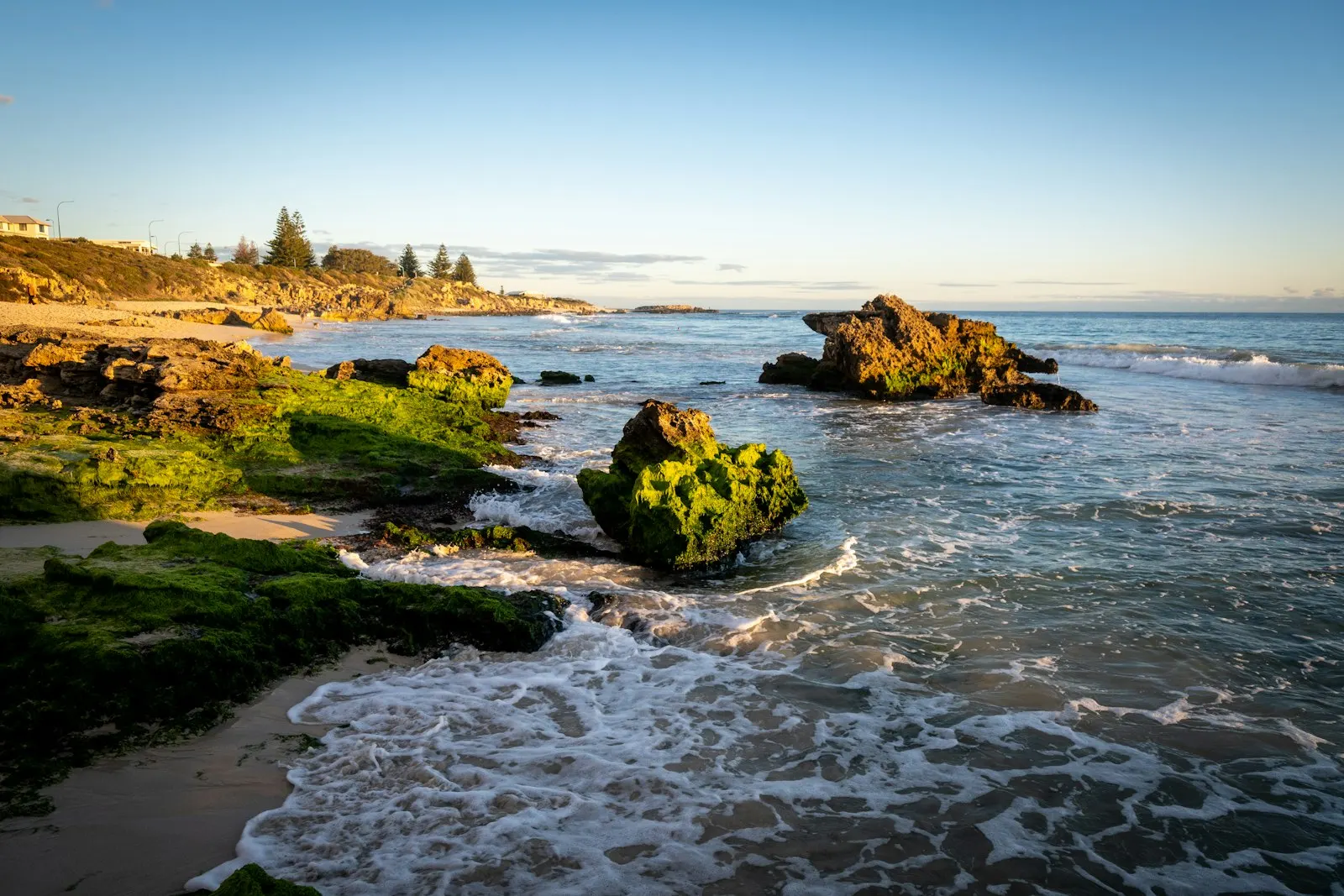 Australian rocky coastline, ambergris identification guide