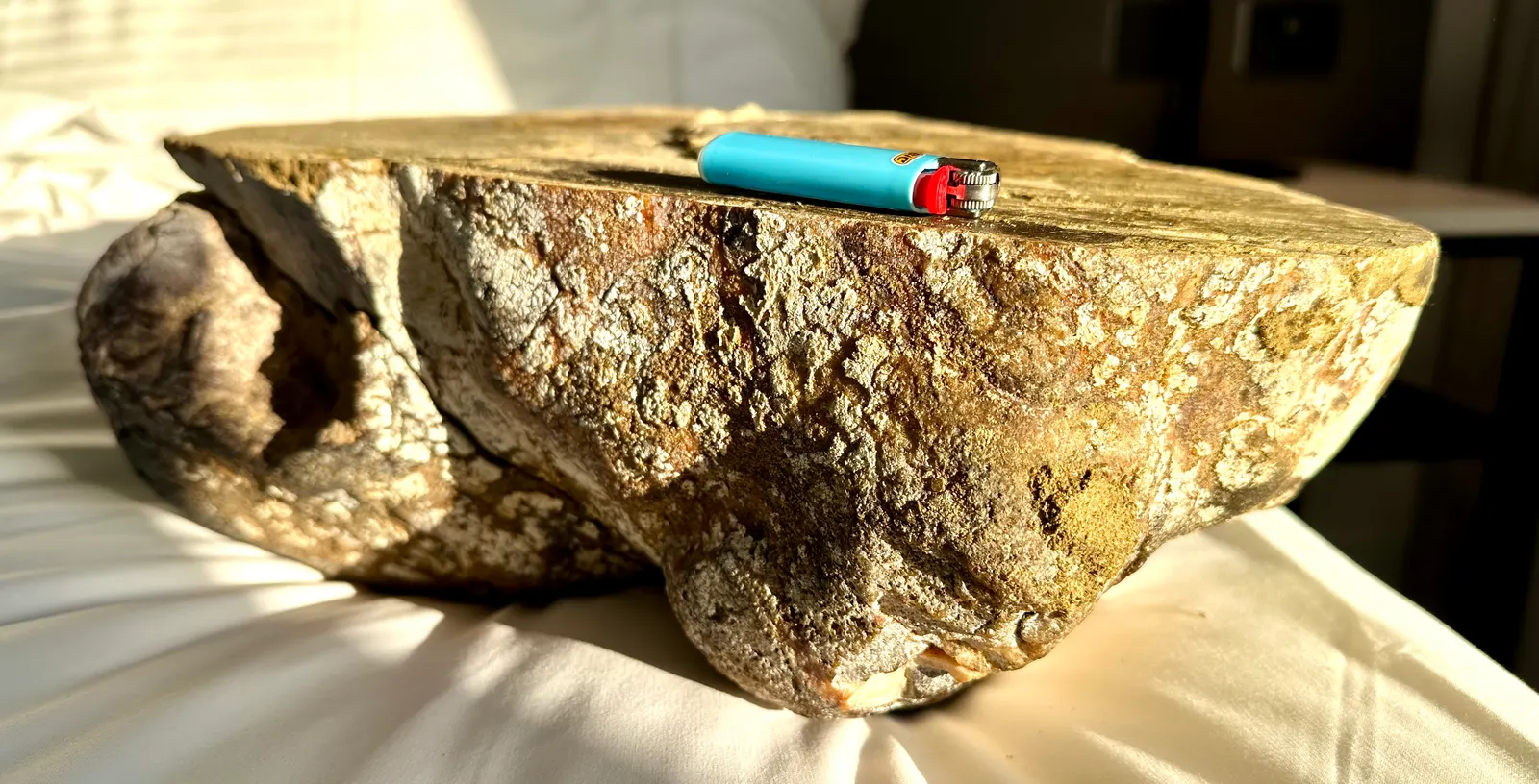 Authentic gray ambergris specimen