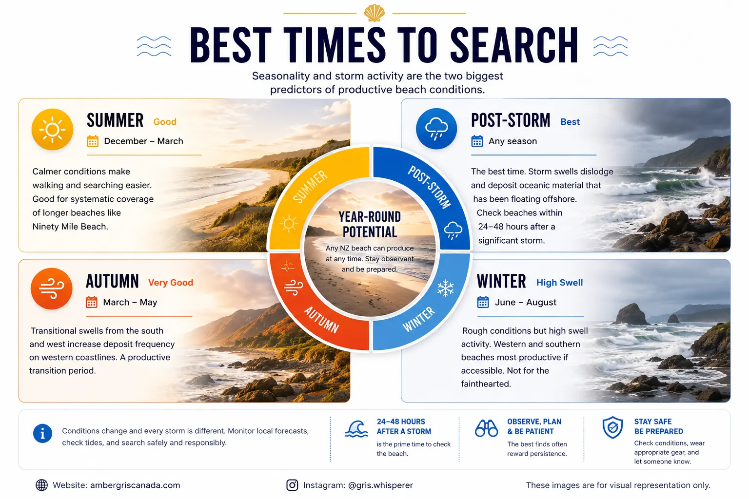 Best times to search for ambergris in New Zealand