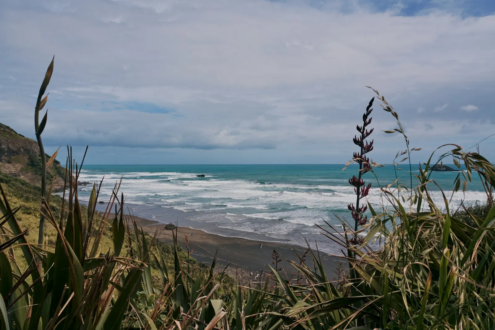 New Zealand coastal beach - ambergris finder guide