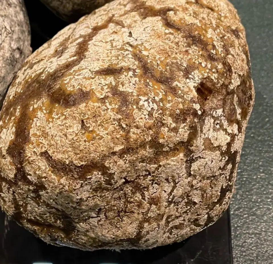 Close-up of a pale crackled ambergris crust with dark brown and orange-amber veins