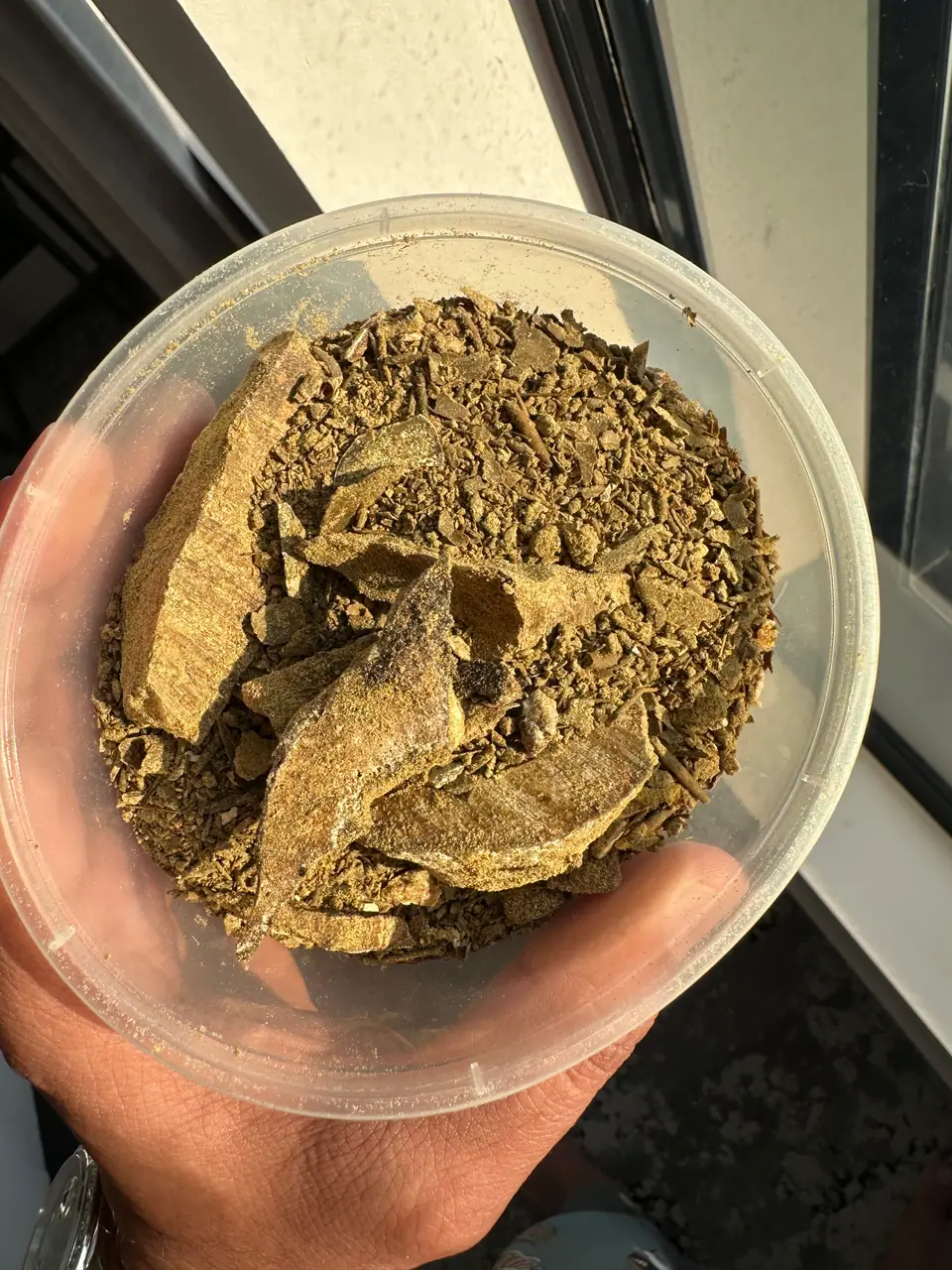 A tub of ambergris flakes and pieces held in hand