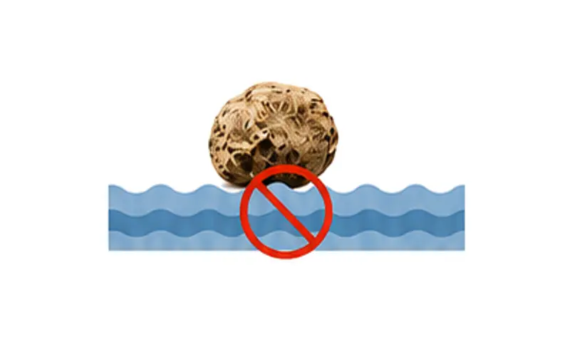 Illustration: a piece of ambergris above water with a no sign, meaning never leave it submerged