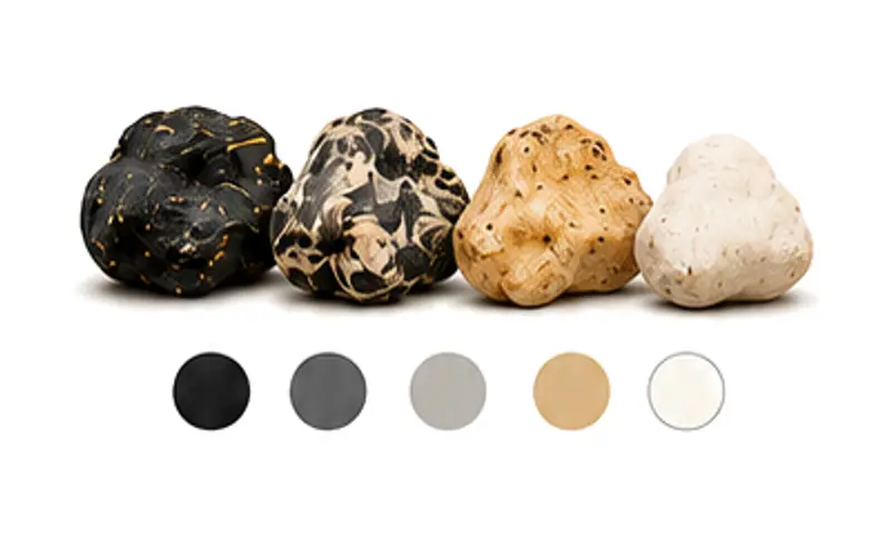 Illustration: four pieces of ambergris from black to white, above colour swatches running from black through grey and tan to white