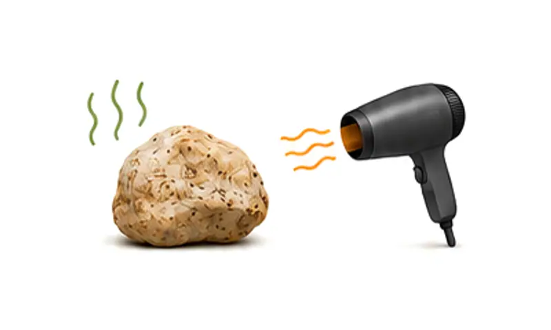 Illustration: a hair dryer gently warming a piece of ambergris as its scent rises