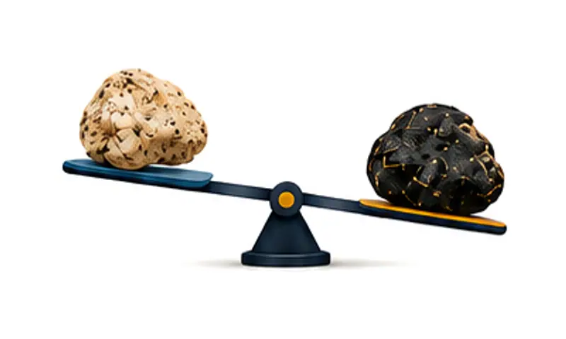 Illustration: a seesaw tipped down by a dark rock, with the lighter piece of ambergris raised on the other end
