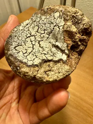 Close-up of the white crackle pattern on the ambergris piece, held in hand