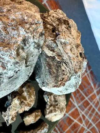 Close-up of two large pieces from the blue-grey ambergris lot