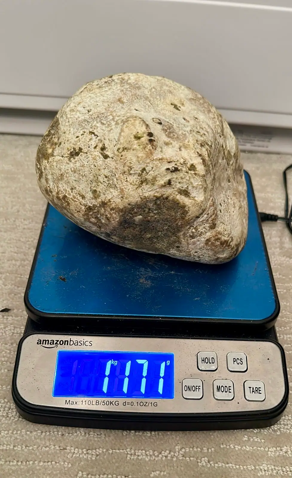 A rounded cream and pale yellow ambergris piece on a blue digital scale