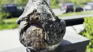 The dark ambergris piece with a brown lobe resting on an outdoor railing