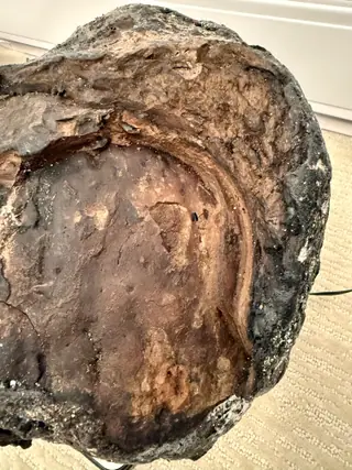 Close-up of the smooth brown inner face inside the black crust of the 7.74 kg dark ambergris piece