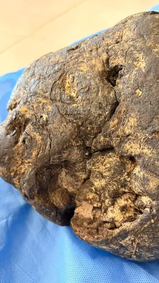 Close-up of a cracked face on the dark brown ambergris piece, with a swirl and a crevice