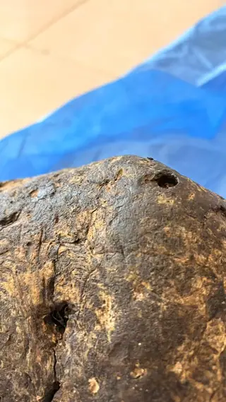A very close view of the top surface and hole of the dark brown ambergris piece