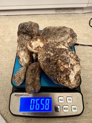 A mixed pile of ambergris pieces from the sorted lot on a blue digital scale