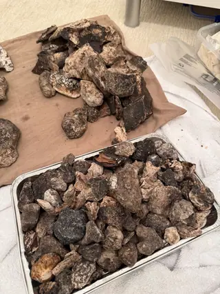 A steel tray heaped with dark ambergris chunks, more pieces on paper beside it