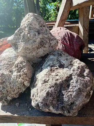 A closer view of the four porous grey-white ambergris pieces stacked outdoors