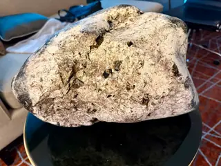 The long side of the large pale grey ambergris piece, its surface pitted with black blotches