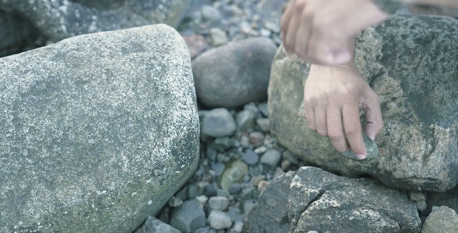A hand turning over a shore rock while searching for ambergris