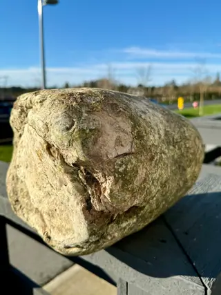 The broken end of the very large ambergris piece on a deck rail