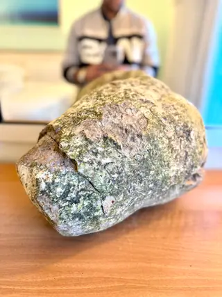The cracked flat end of the very large grey ambergris piece on a wooden table