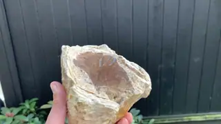 The light ambergris piece held up to show its smooth brown broken face