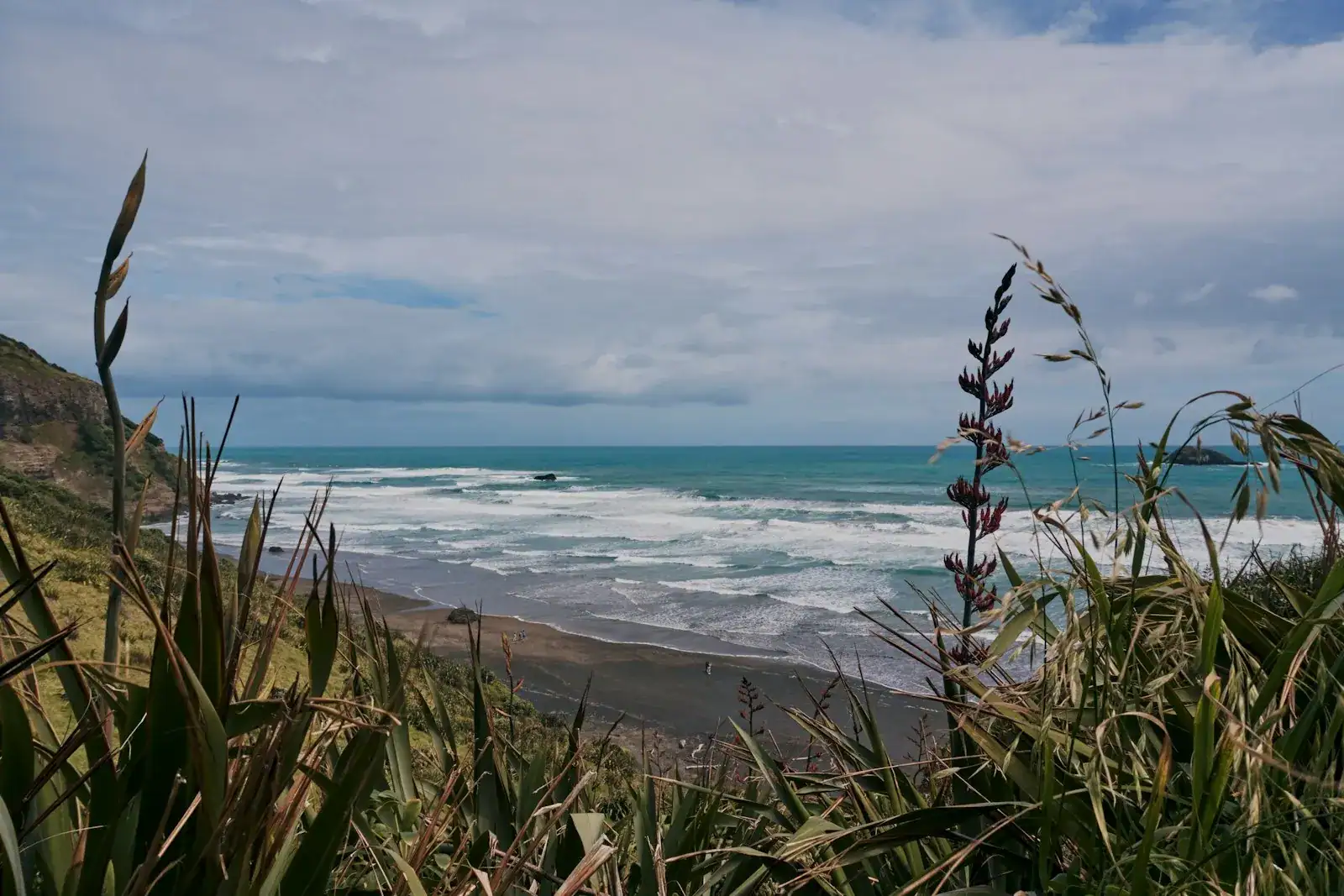 A New Zealand surf beach seen through flax on the cliff top