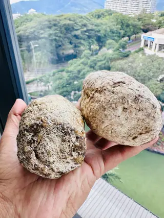 An end view of the pair of pale ambergris pieces at a high-rise window