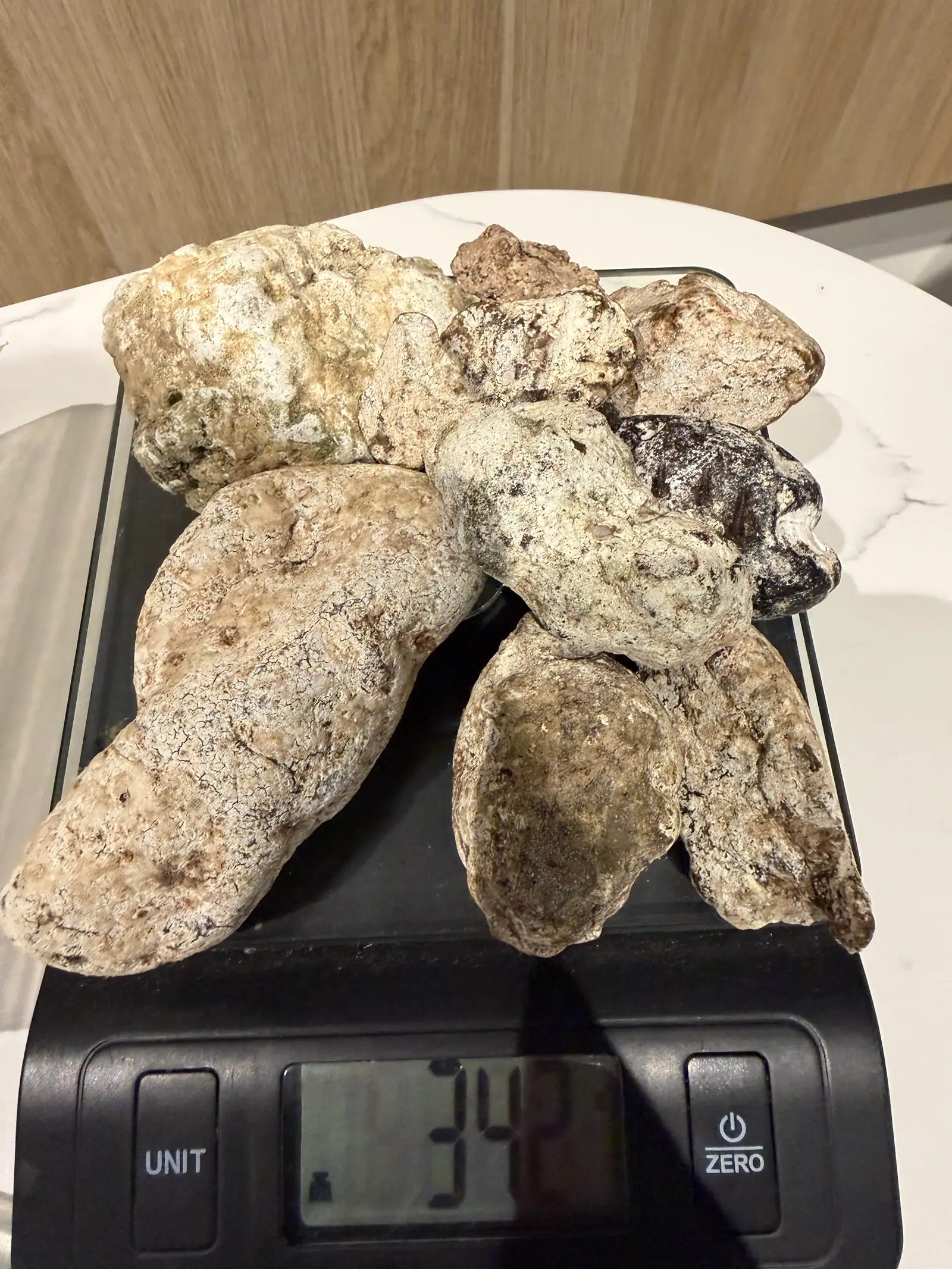 A cluster of pale cream and tan ambergris pieces piled on a black kitchen scale