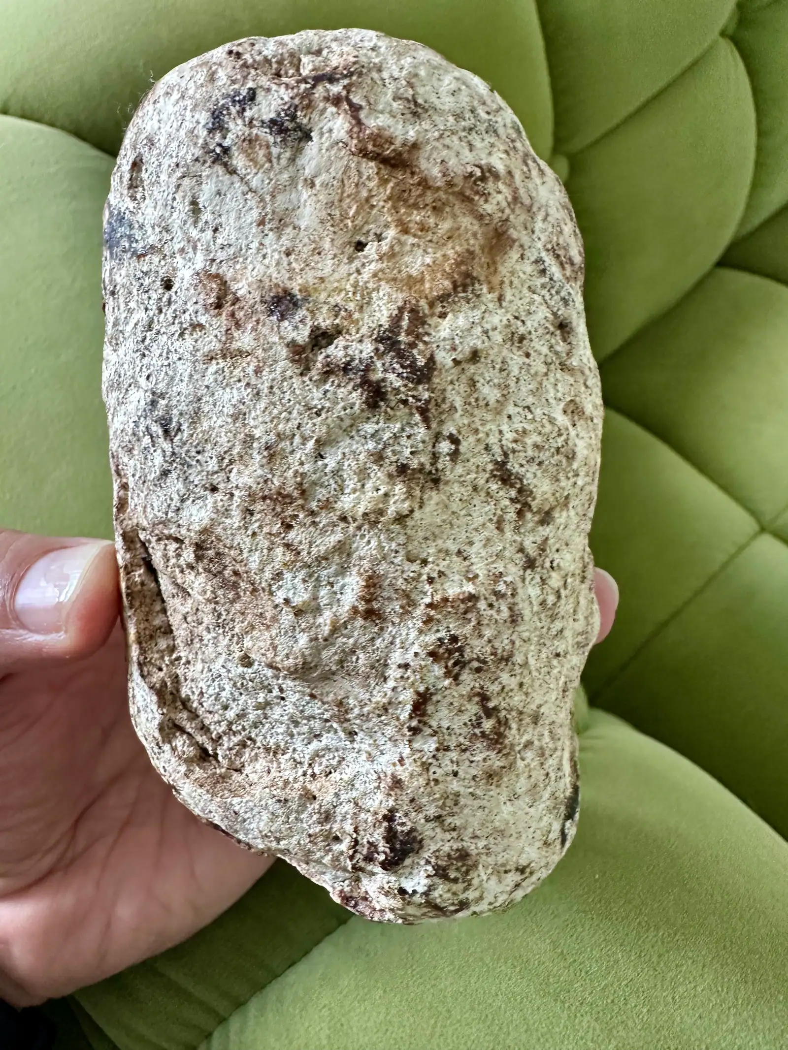 A pale speckled ambergris piece in hand