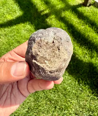 The other side of the small purplish-grey ambergris piece, held over a sunlit lawn