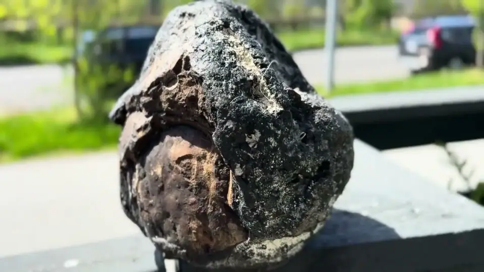 Dark ambergris with a weathered crust, resting on a railing