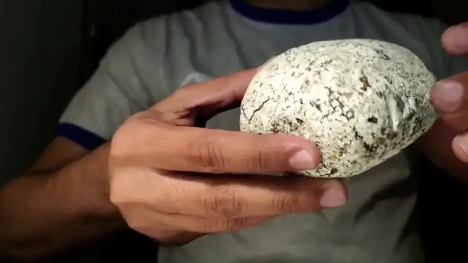 White speckled ambergris held in two hands