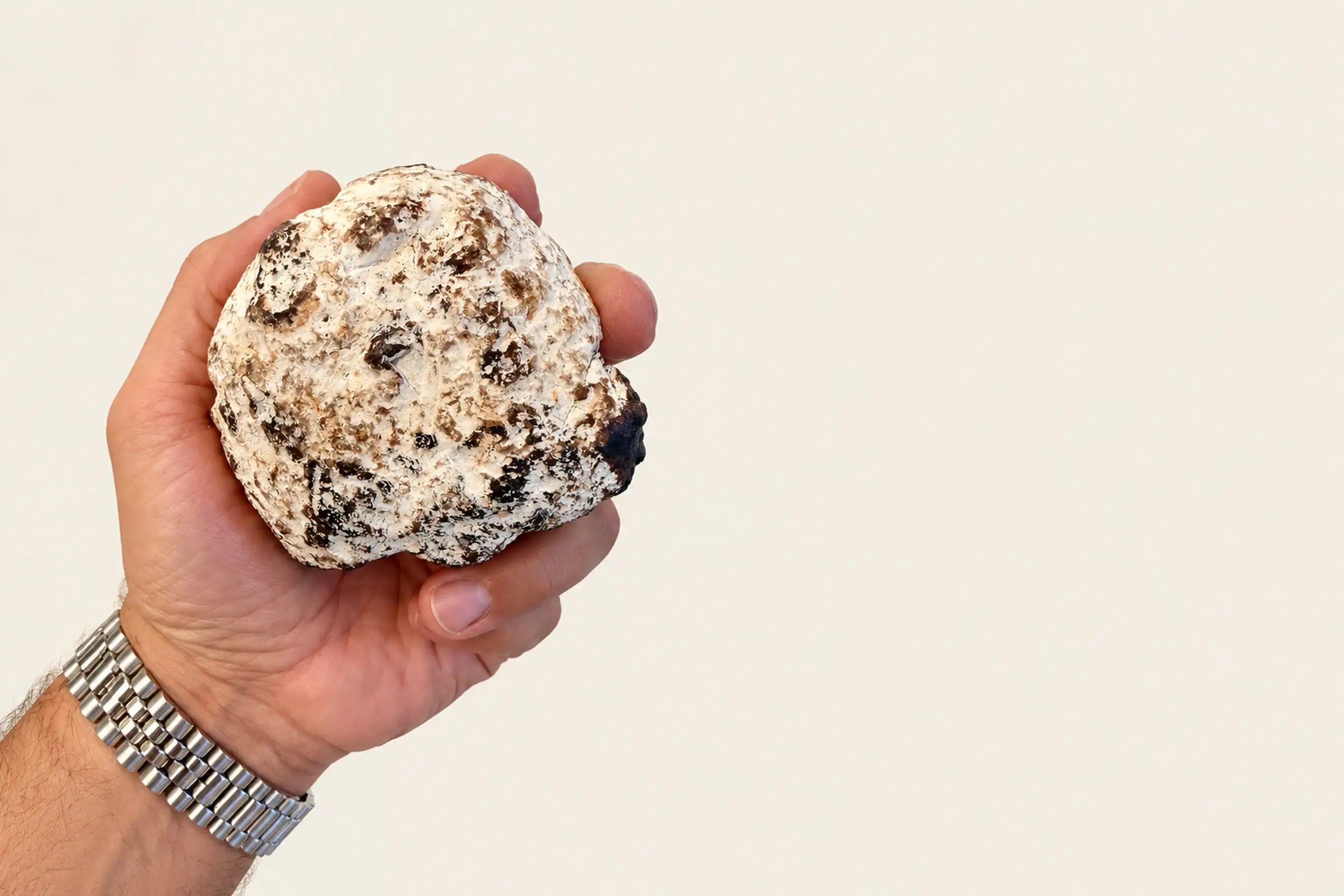 A white piece of ambergris held in hand