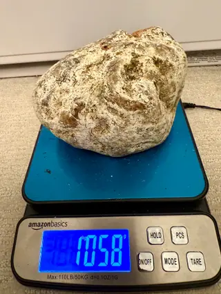 The other side of the large white ambergris piece on a blue digital scale