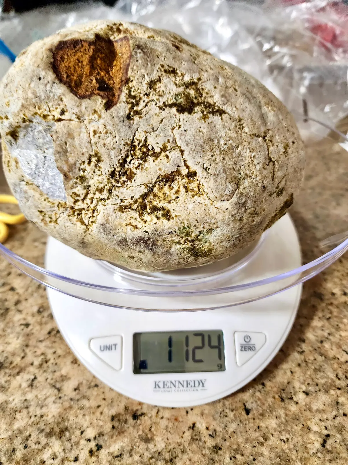 Authentic white ambergris specimen on scale showing 1124g weight