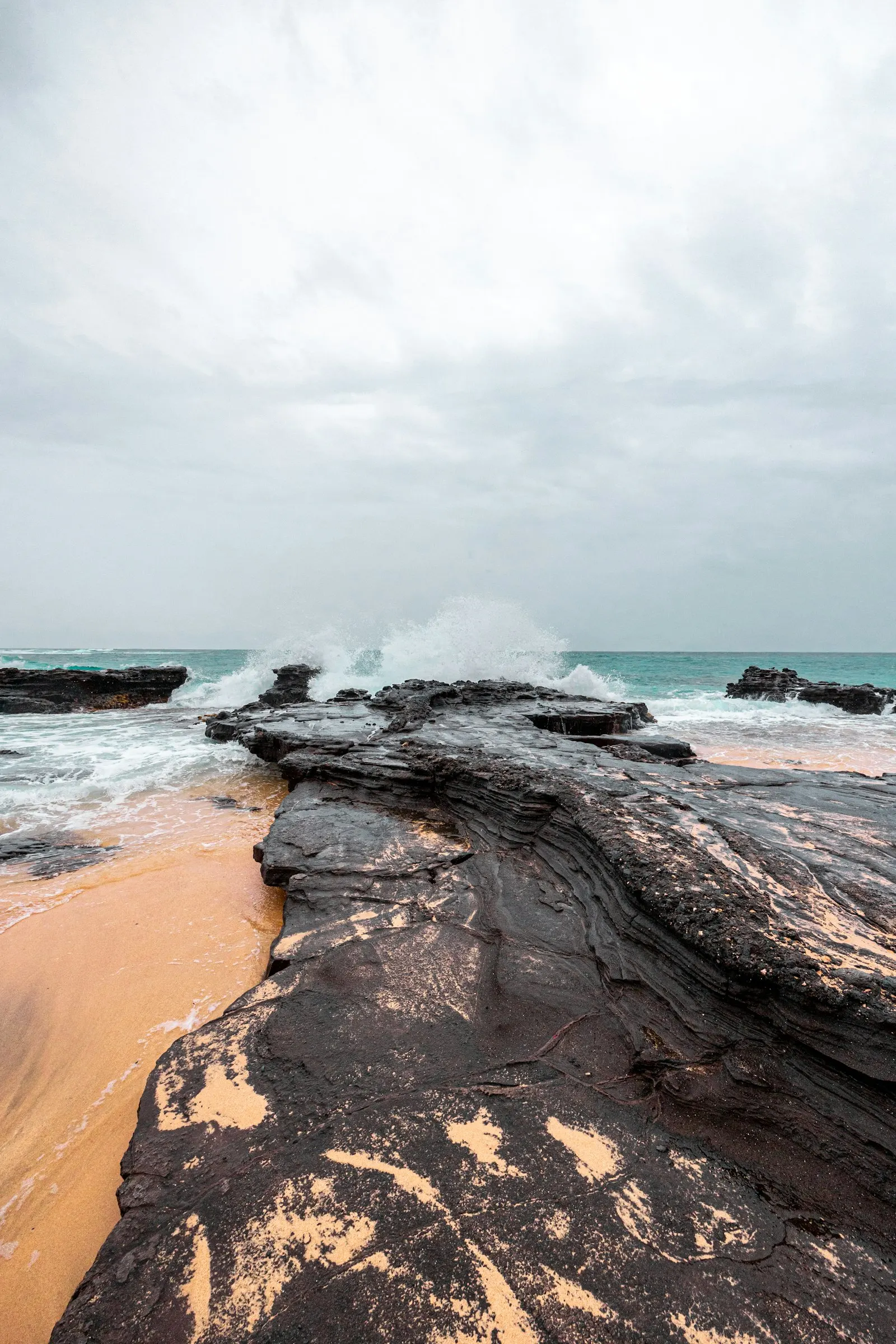 Australian coastline, ambergris value and grading guide